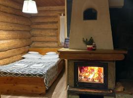 Wilcza Jama - domki z bali, lodge en Lutowiska