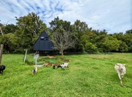 Fountainside A Frame TreeHouse Romantic Nature Farm Getaway