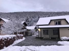 Karpatske Vidlunnya، فندق في ميكوليتشن
