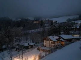 Posthof - Alpine Living Apartments