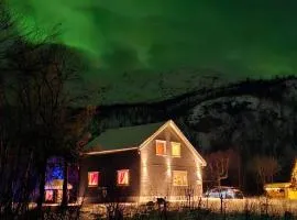 Elvestua