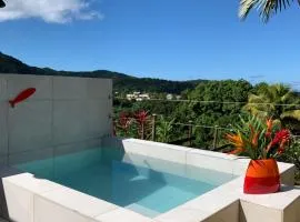 Case Oiseaux de paradis avec piscine