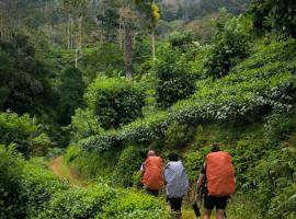 Rainforest cabin, hotell i Deniyaya