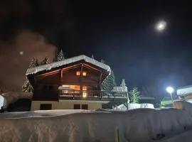 Chalet L'AS DE CARROZ