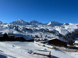 Appartement duplex 8 à 10 personnes - Belle Plagne - Pieds de pistes, appartement à La Plagne Tarentaise