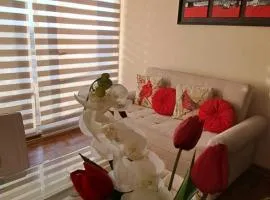 Departamento a pasos del Faro