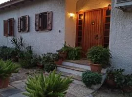 Nafpaktos cottage by the sea for travelers and dreamers!
