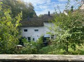 In Saarbrücken Stadtnahe gemütliche Wohnung am Deutsch-Französischen Garten