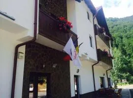 Hotel Popasul Regelui Transalpina