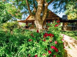 Zion's Cabin and Boujee Barn, hotell i Virgin