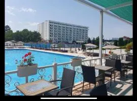 De Lux Nedeljkovic President