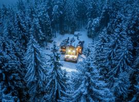 House Shiligarnika, хотел близо до Ski Lift Banderitsa 2, Банско