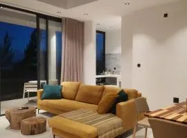 Dzixile