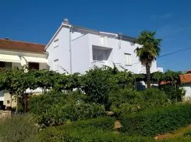 Apartment Saric