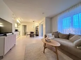 Central Luxury City Apartment