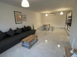 Fancy Big Apartment