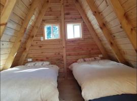 Linda cabaña en Puyehue con vista al volcán – hotel w mieście Ñilque