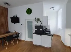 Moderní apartmán na Šumavě - Zdíkovec 21