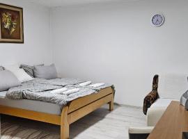 Apartman Branka, hotel in Niška Banja