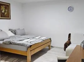 Apartman Branka