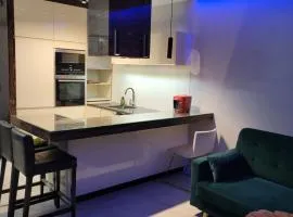 Apartament Walendów Park