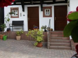 Ferienwohnung Alte Hütte, place to stay in Erfweiler