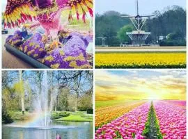 B&Bslapenopeeneiland