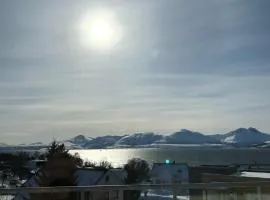 Arctic Homestay with Northern light viewpoint