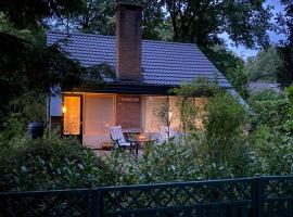 House in Appelscha on the edge of the forest, cottage in Appelscha