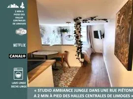 Studio Jungle-Calme rue piétonne