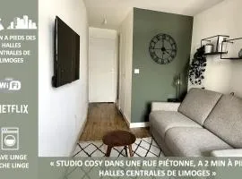 Superbe studio en hypercentre et rue piétonne - 3emeAdrienDubouché