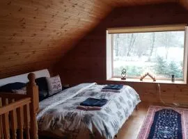 Čapuliši