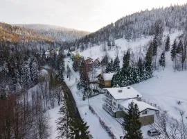 Apartamenty Willa Marko z sauną, grillowiskiem i rowerownią - Dream Apart