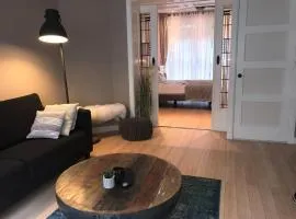 Stijlvolle benedenwoning Singel