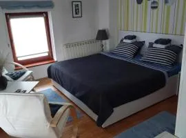 Apartments Bikica