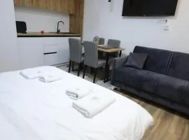 King apartments Kopaonik