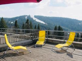 Appartement sur les hauteurs de Gérardmer, hotel en Gérardmer