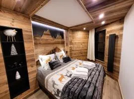 LES ARCS Appartement Prestige Ski In Ski Out