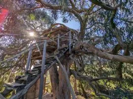 Magical Treehouse