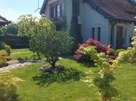 Kuca na Savi - Stari hrast