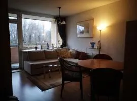 Ferienwohnung Kärnten Ossiacher See zwei Zimmer Appartement direkter Seezugang Strand beheizte Schwimmhalle