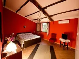 La Mimosa Case Vacanze