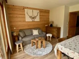 Appartement rénové T2, vue montagne