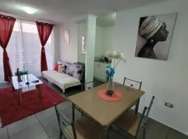 Dpto full equipado la serena