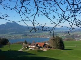 Bio Gesundheitshof Daxinger, feriegård i Mondsee