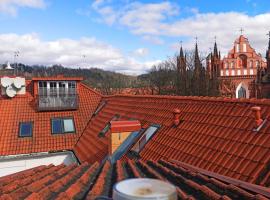 PRIVATE SAUNA & 4 bedrooms Old Town Rooftop Apartment, hotel com spa em Vilnius