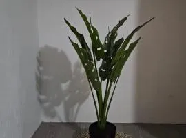 Dunrobyn Court Tempo Stay 8