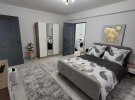 Apartament cu 1 camera, smještaj s priborom za pripremu jela u gradu 'Zalău'