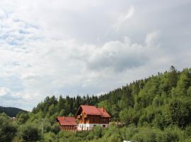 Villa Leontiya, homestay in Skhidnitsa