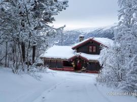 Stor og flott hytte med fantastisk utsikt, hotell i Geilo